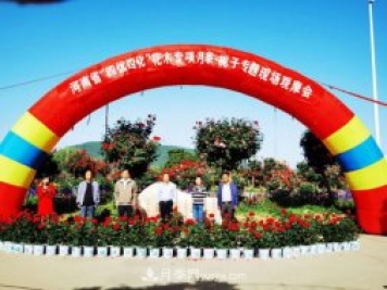 河南省四优四化项目 助推南阳月季、栀子产业发展
